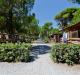 Europing Camping Village