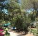 Camping Continental