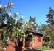 Club degli Amici Camping Village